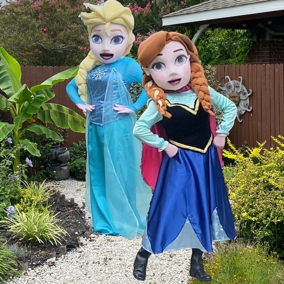 Adult costume Disney princess frozen, we can make any princess. - Picture 5 of 10